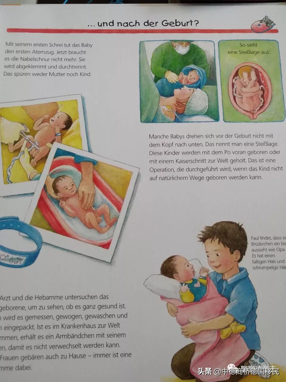 儿童性启蒙教育绘本,德国3-6岁幼儿园教育方法