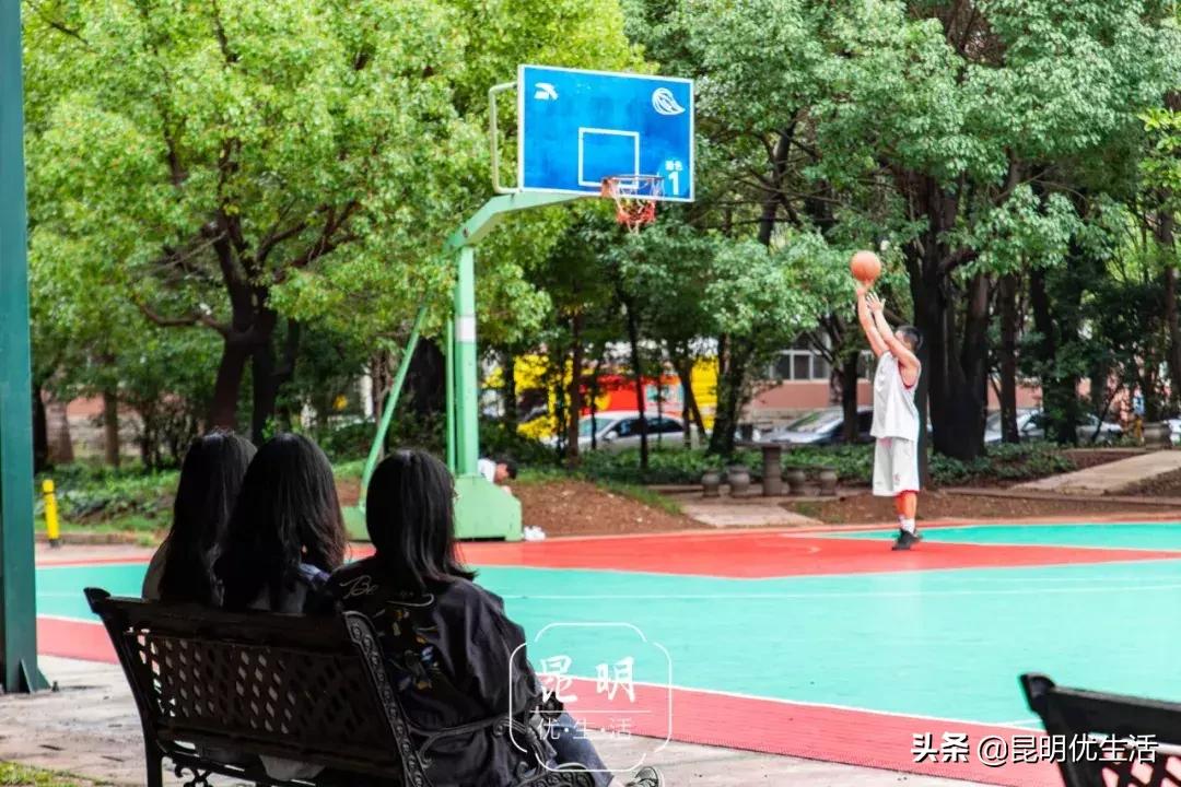 我眼中的云南财经大学,母校云南财经大学