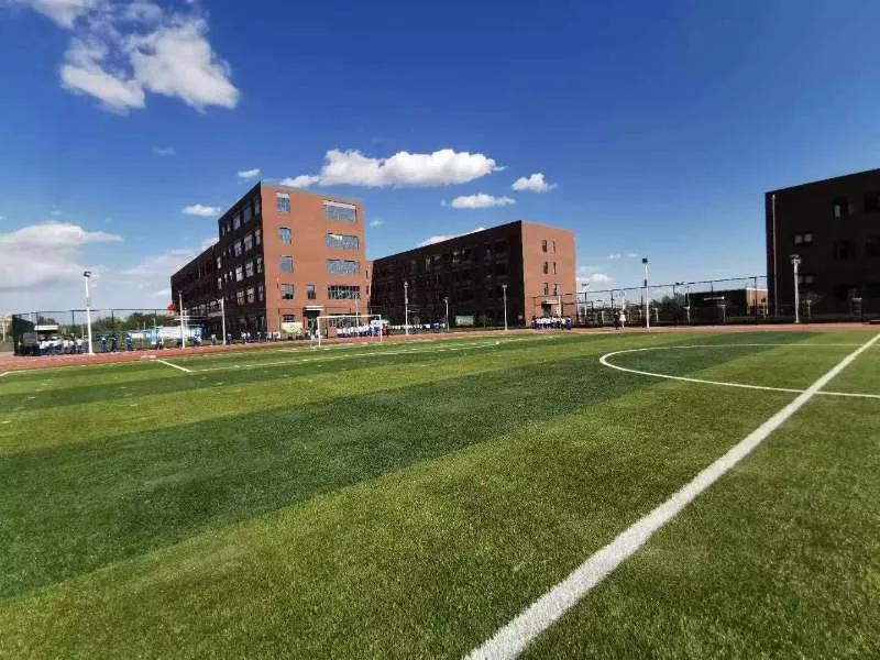 天津海河英才学校落户,海河英才落户好吗