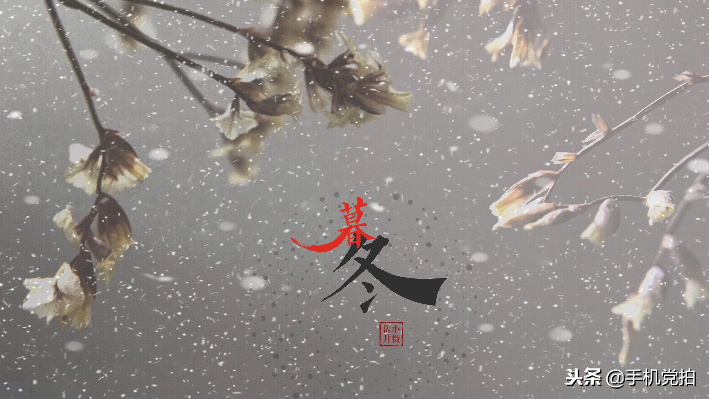 下雪天手机怎么拍慢动作雪景,手机下雪拍雪景专业模式