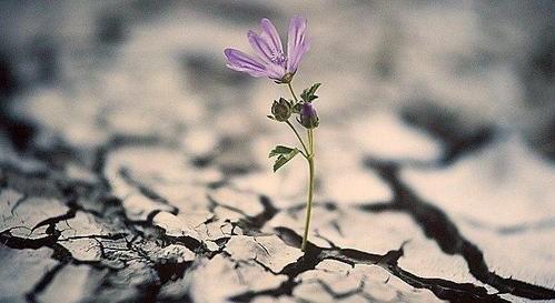 穷人不敢创业的原因是什么,穷人不敢创业的原因