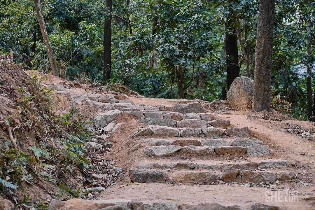 深圳疫情过后的商业街景,疫情过后深圳哪个商场最好