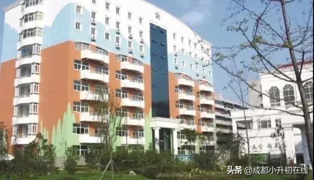 成都天府新区私立小学校一览表,2022成都私立小学招生数量