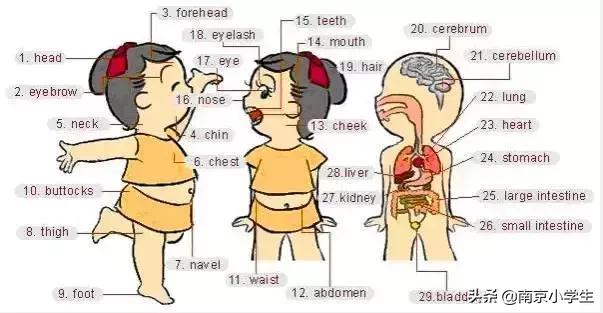 生活日常必考英语单词图片,场景记忆单词大全