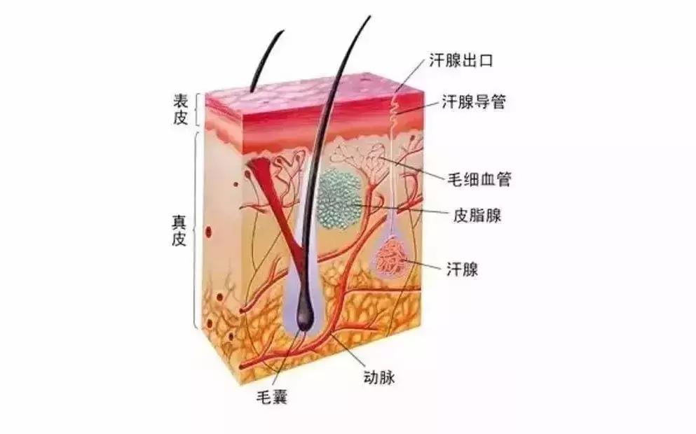 小孩子天气热长痱子怎么办,孩子天热出痱子怎么办