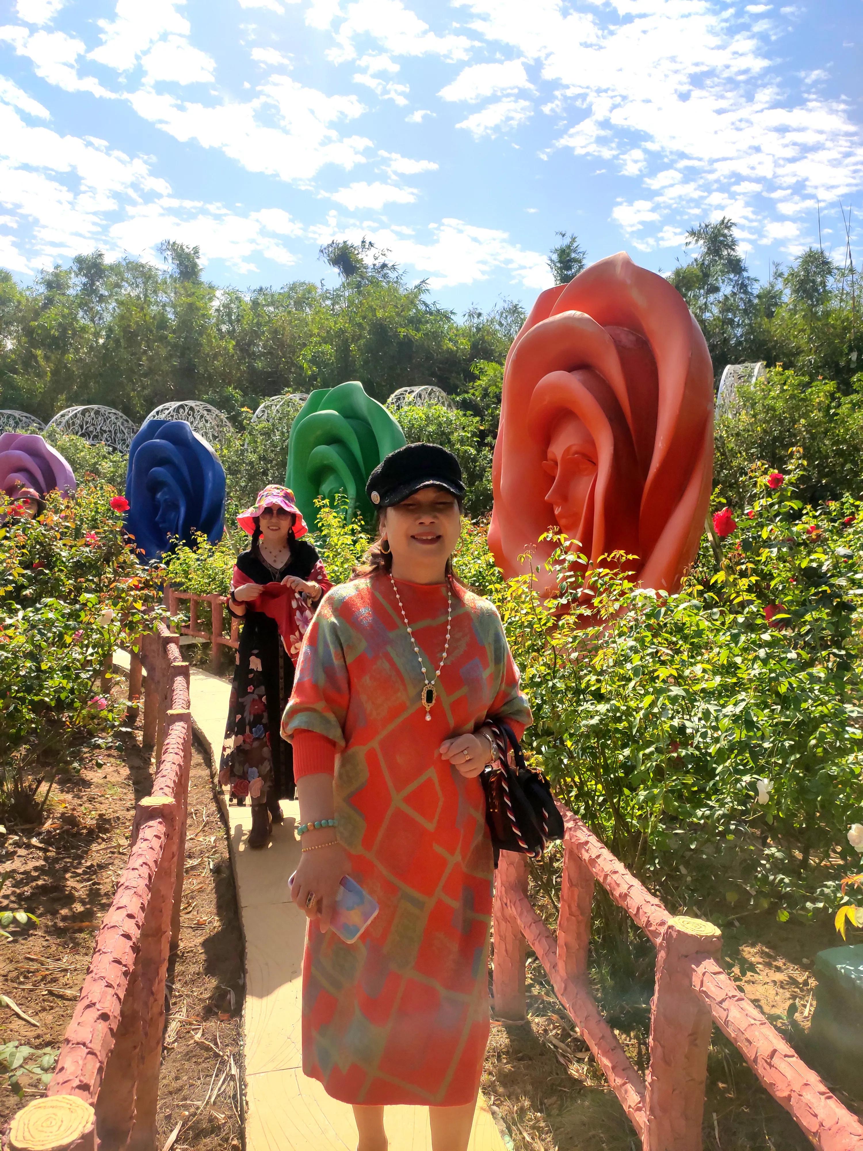 南沙好玩的地方百万葵园,广州南沙百万葵园几月份去最好