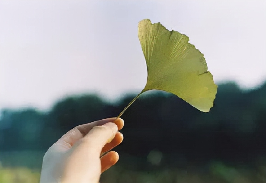面对孩子拖延心理怎么办,孩子学习懒怎么办最有效的方法