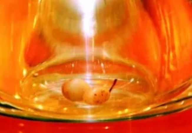 舍利子真的只有得道高僧才有吗,高僧留下的舍利子到底是什么