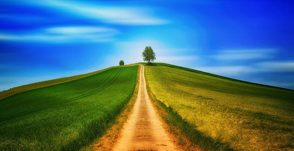 arbor植树节,arborday