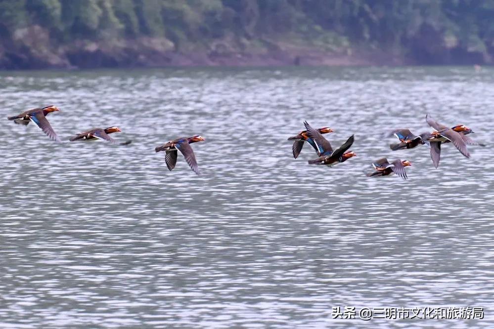 嗨！重新认识一下，我叫建宁！进来为我投票吧！