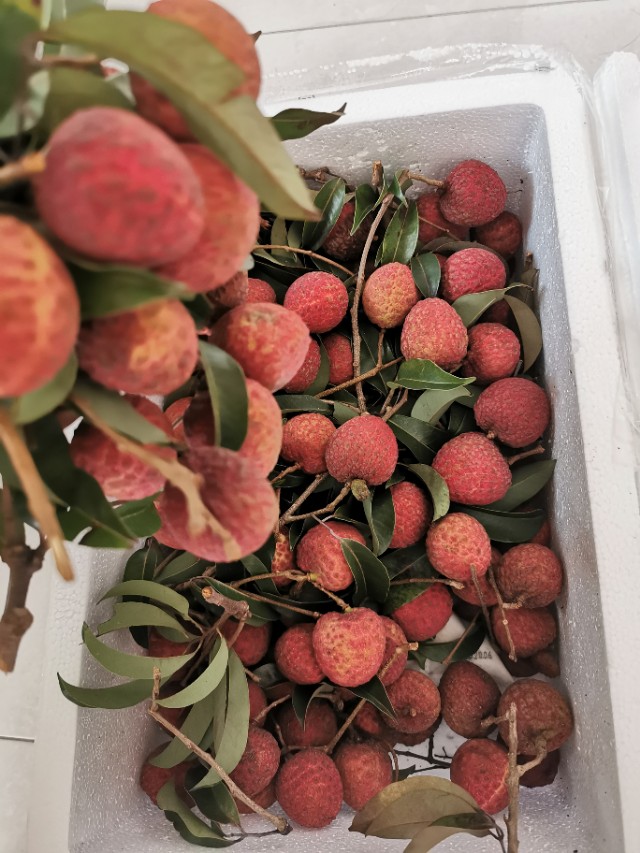 皮肤过敏怎么查过敏源多少钱,皮肤过敏过敏源有哪些