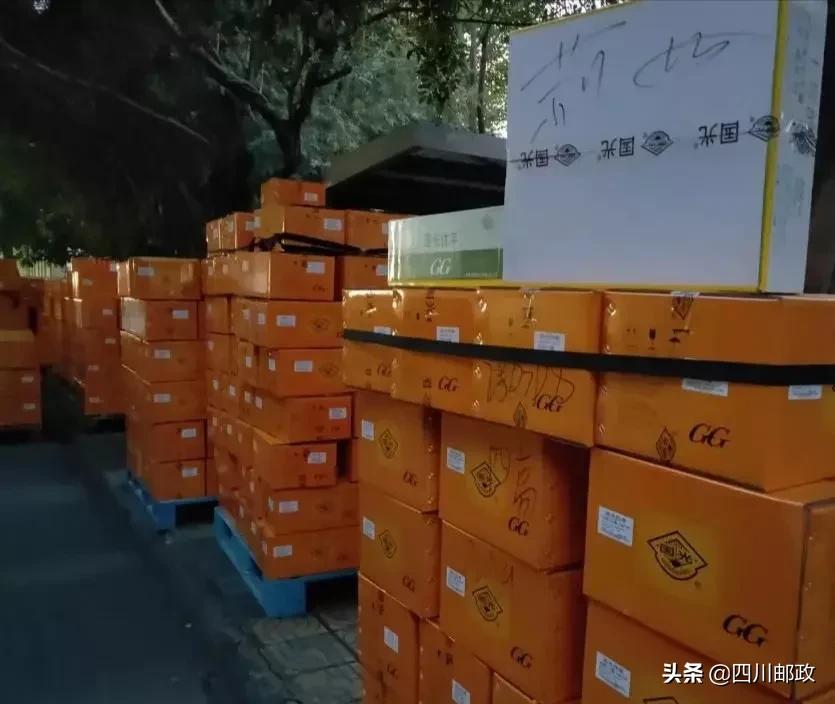 农资配送助春耕,春耕送农资精准帮扶暖人心