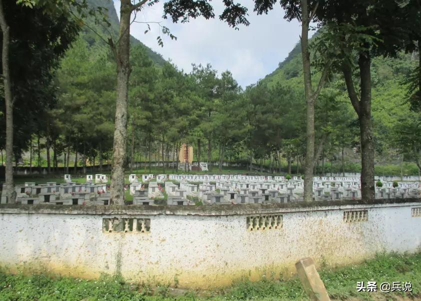 越南老兵重回当年战斗过的洞穴 (越南老兵回忆丛林战争)