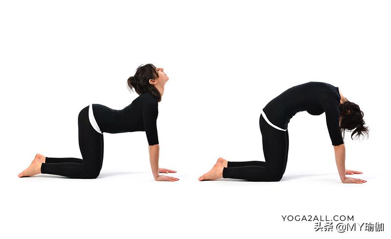 排下腹胀气的瑜伽动作,有助于肠胃消化的瑜伽动作