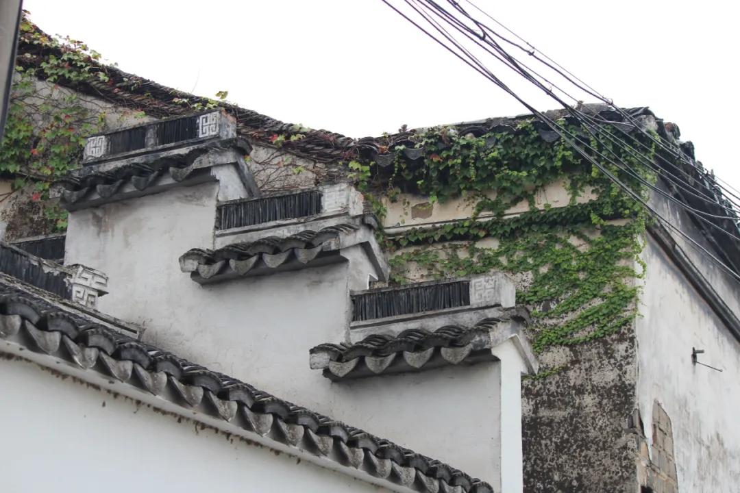 苏州旅游攻略元旦适合去吗,元旦旅游推荐苏州周边景点