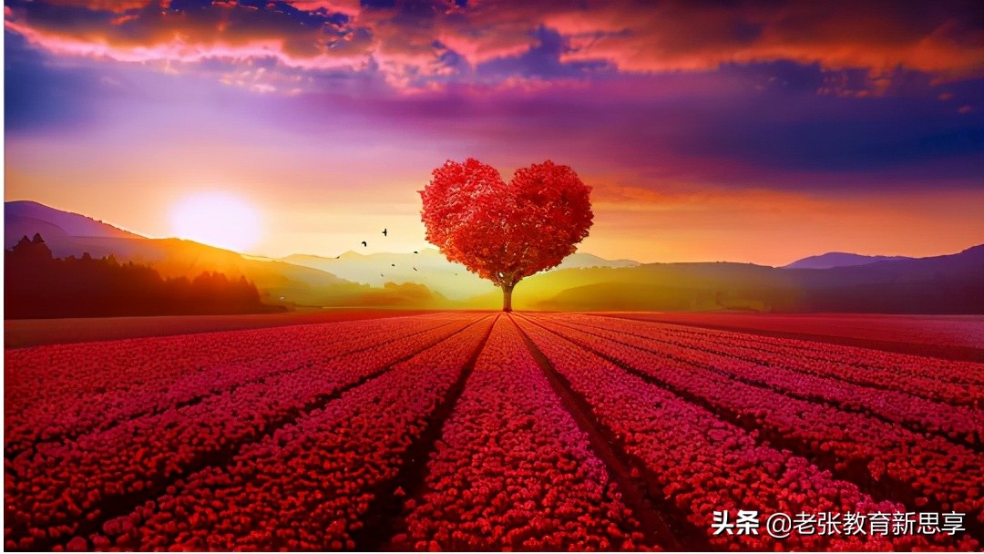 人生赢家厚积薄发,厚脸皮的人生路越走越顺