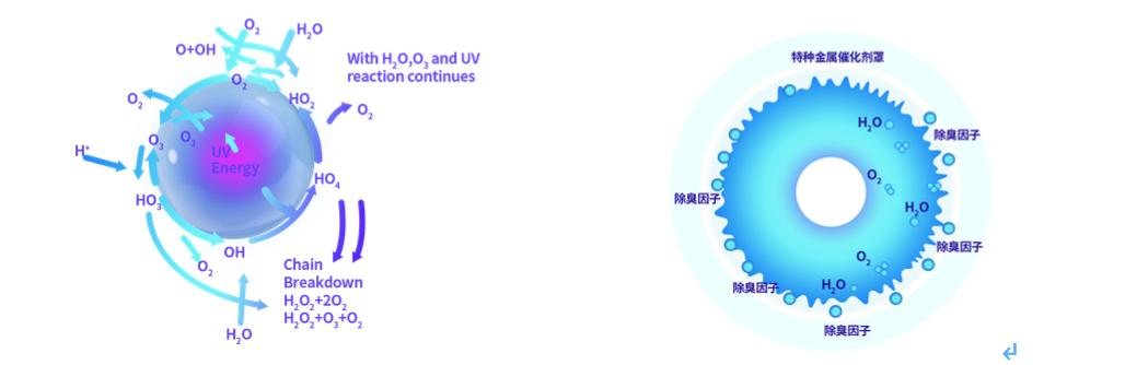 檀玥科技有限公司,檀玥