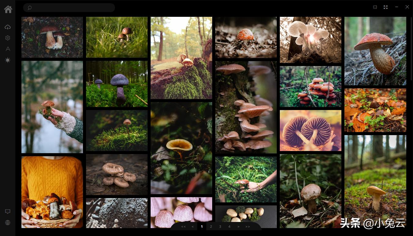 这两款l懒人工具可方便的帮你找各类免版权图像和字体