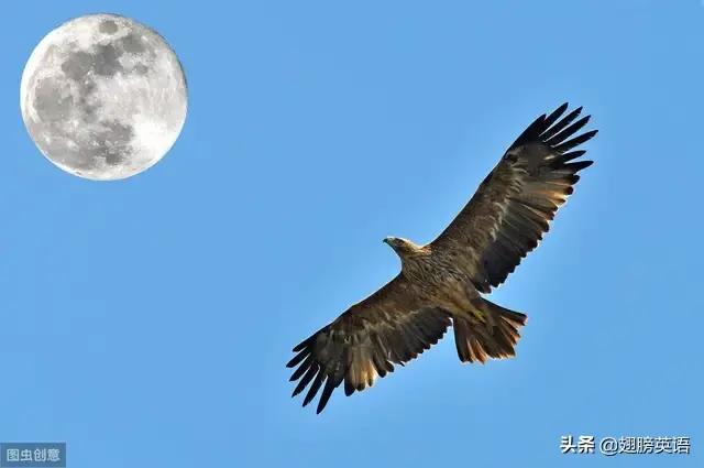 英语16种时态和语态一览表讲解,英语16种时态讲解及其例题书