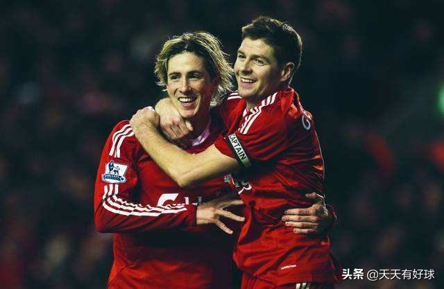 费尔南多托雷斯现状,费尔南多托雷斯生涯历程