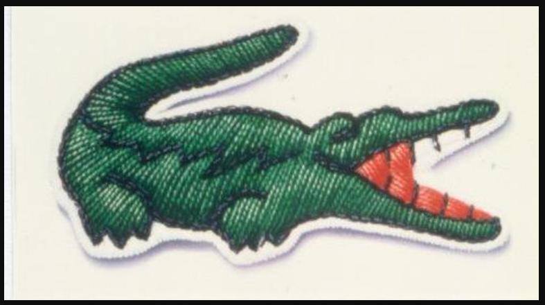 鳄鱼的撕咬,鳄鱼撕咬