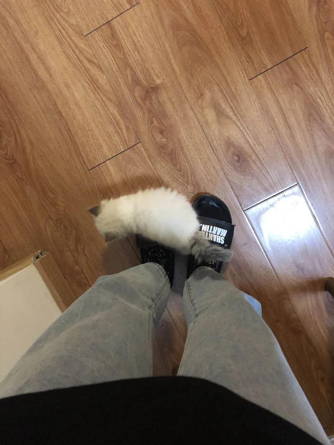 网约车猫咪托运,小猫可以用顺风车托运么