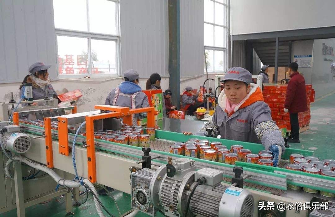 农民外出打工该做什么工作,未来三四线城市农民什么职业吃香