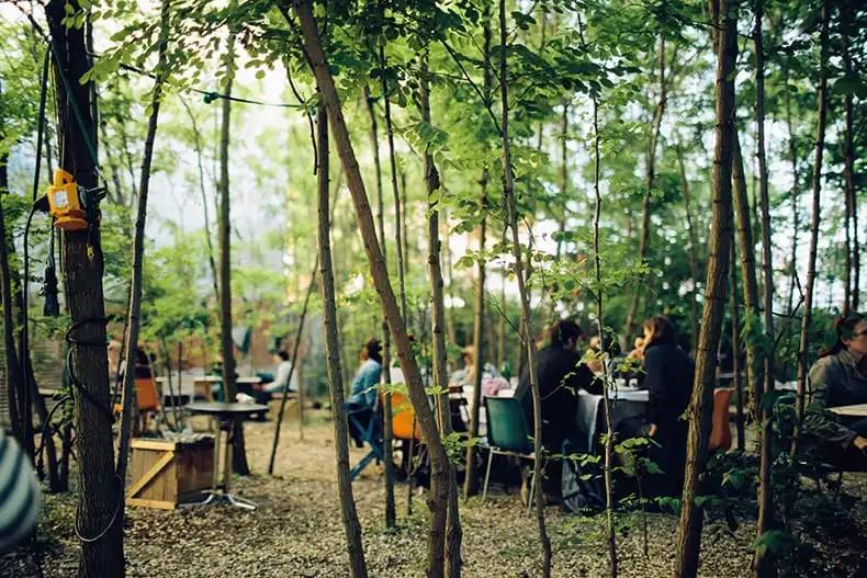 农庄餐饮怎么经营赚钱,怎么经营农家乐卖菜生意