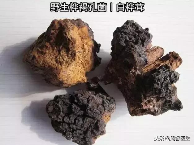 吃什么菌能逆转糖尿病,食用菌治疗糖尿病