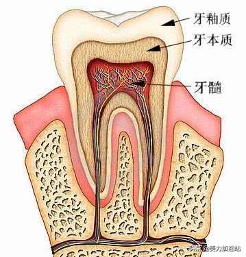 牙齿变白用什么口红好呢,牙齿美白用什么颜色的口红