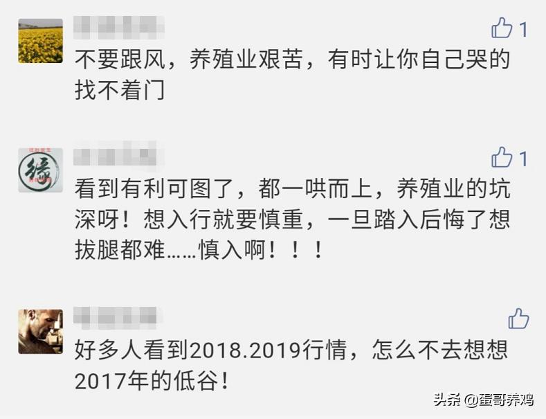 蛋鸡怎么养殖才能赚钱,现在养蛋鸡能赚钱吗