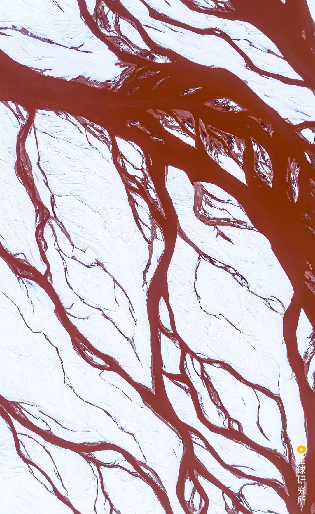 每一张图都有一个故事你想听哪个,每一张图都是清晰的记忆