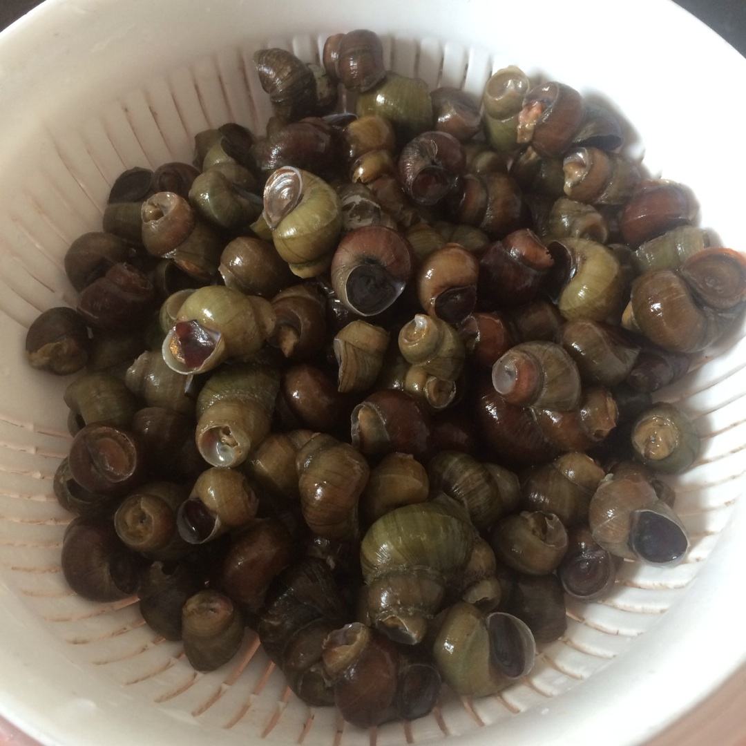 鏌冲窞铻鸿洺绮夌殑鍒朵綔鏂规硶,鏌冲窞铻鸿洺绮夌殑鍒朵綔鏂规硶鏁欑▼