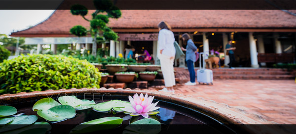 最新玩转泰国攻略,泰国旅游漫游