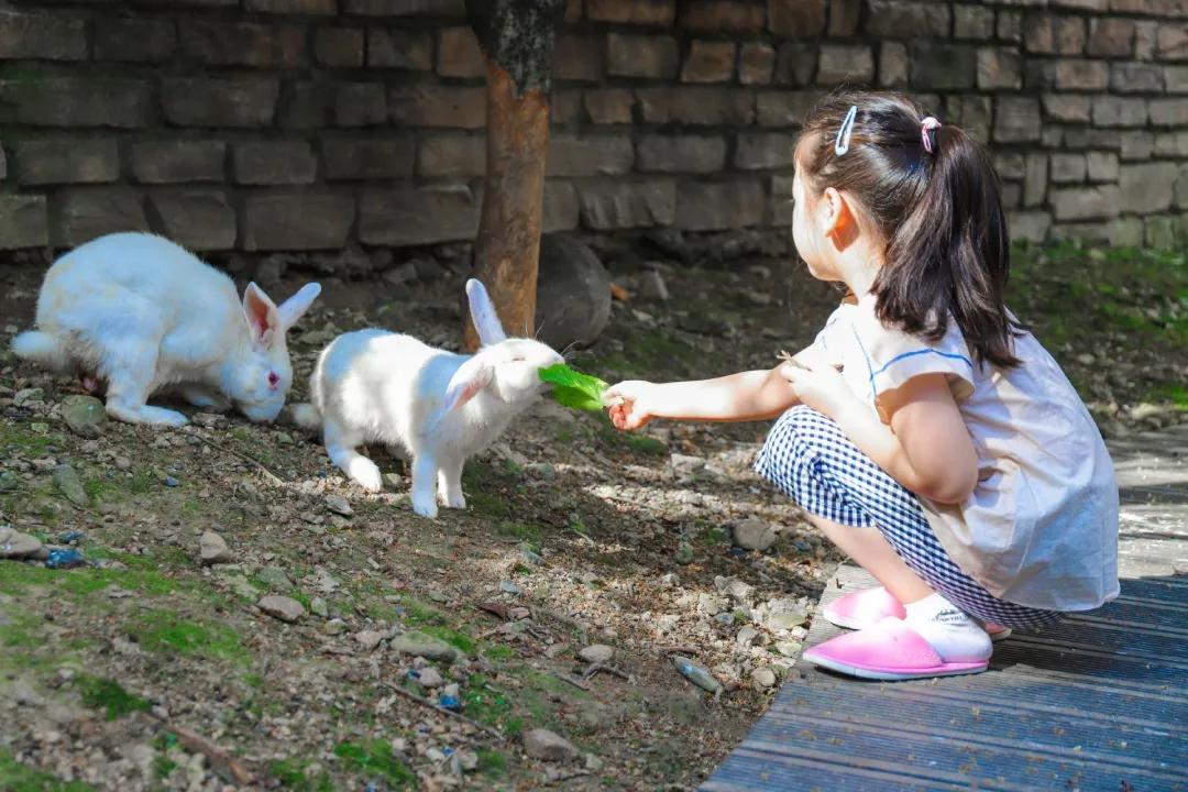 安吉君澜度假酒店周围有什么景点,安吉君澜度假酒店团购