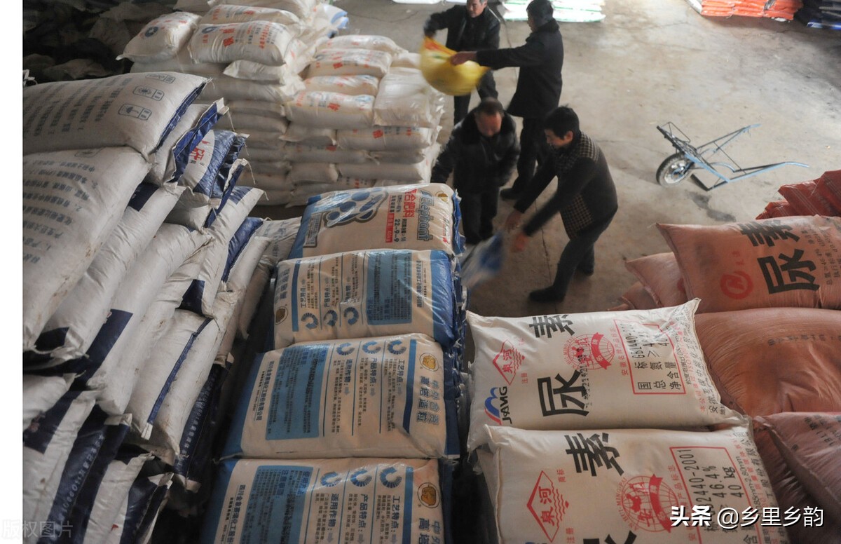 想卖好肥料需要了解什么,农资店一般都需要哪些必备肥料