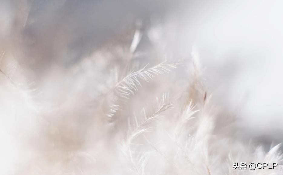 从大肆扩张到一地鸡毛奥飞娱乐困境如何破？