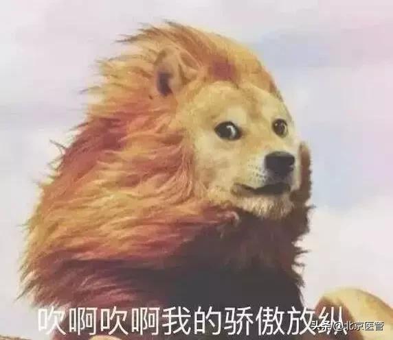 脱发的18种治疗方法,治脱发指南