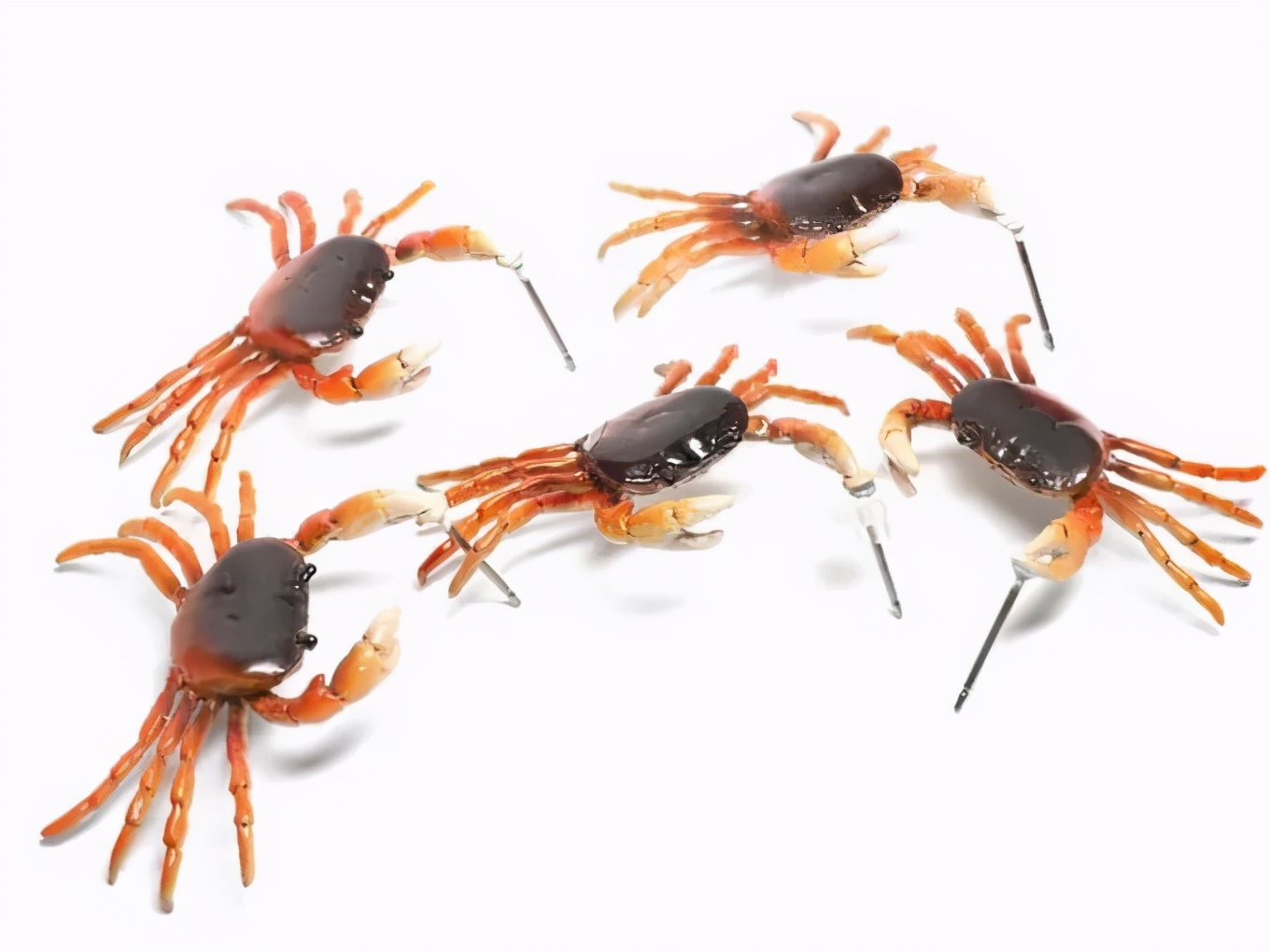 辣眼睛设计,辣眼睛的3d建模