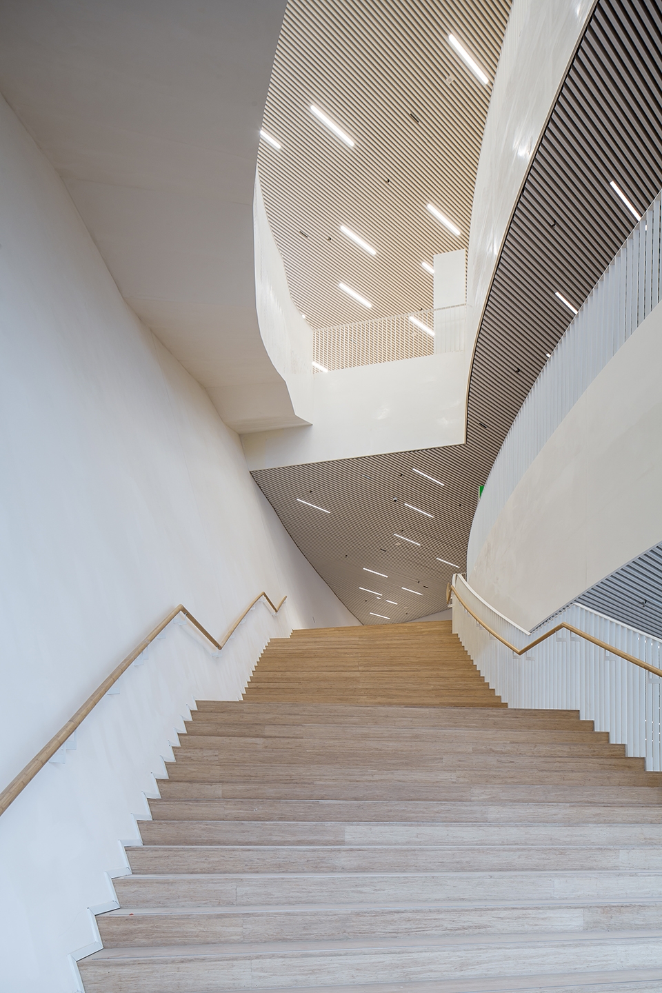 海峡艺术中心茉莉花,福州海峡文化艺术中心晚霞