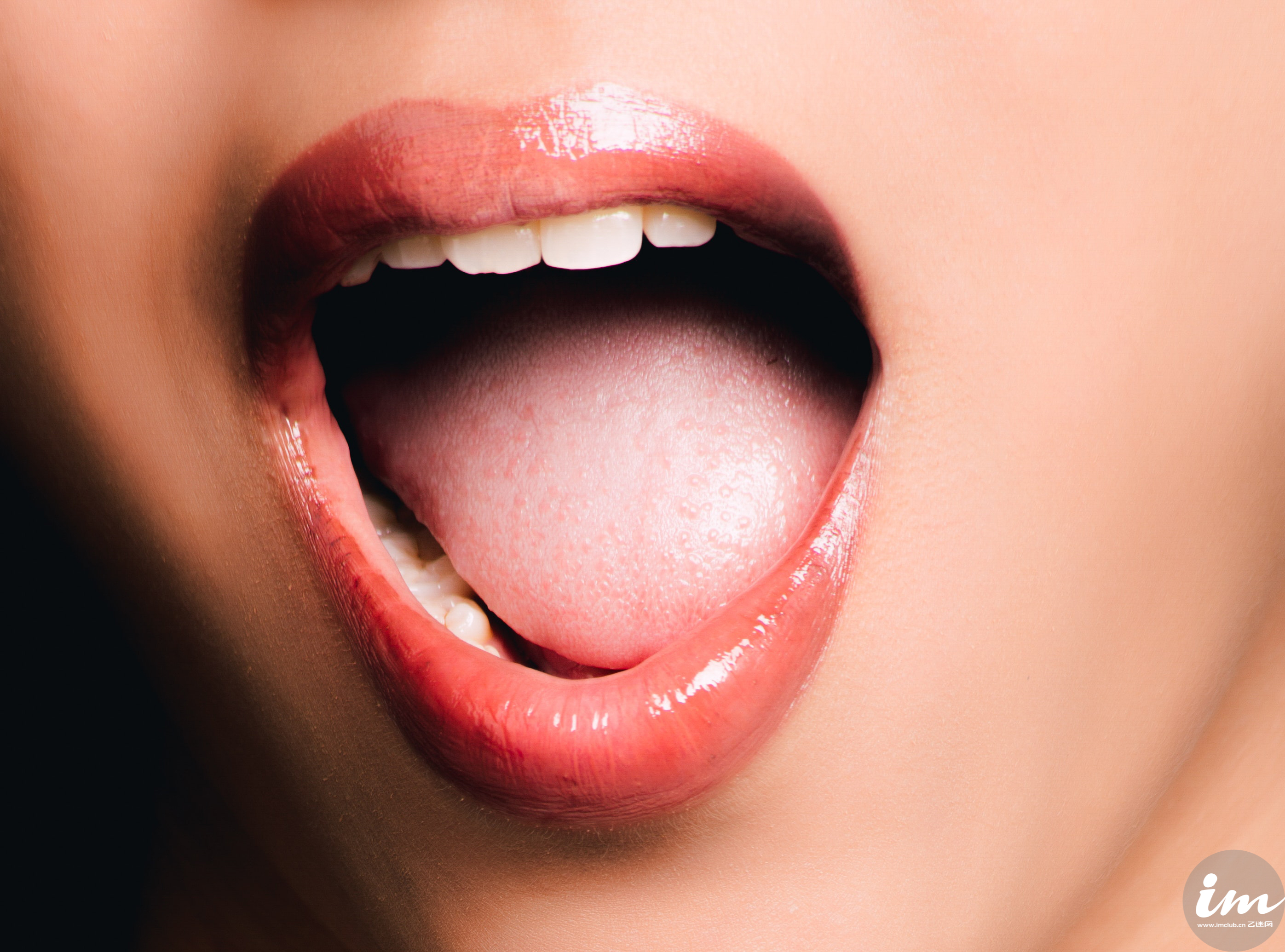 hifi耳机为什么这么贵,hifi耳塞音质排名