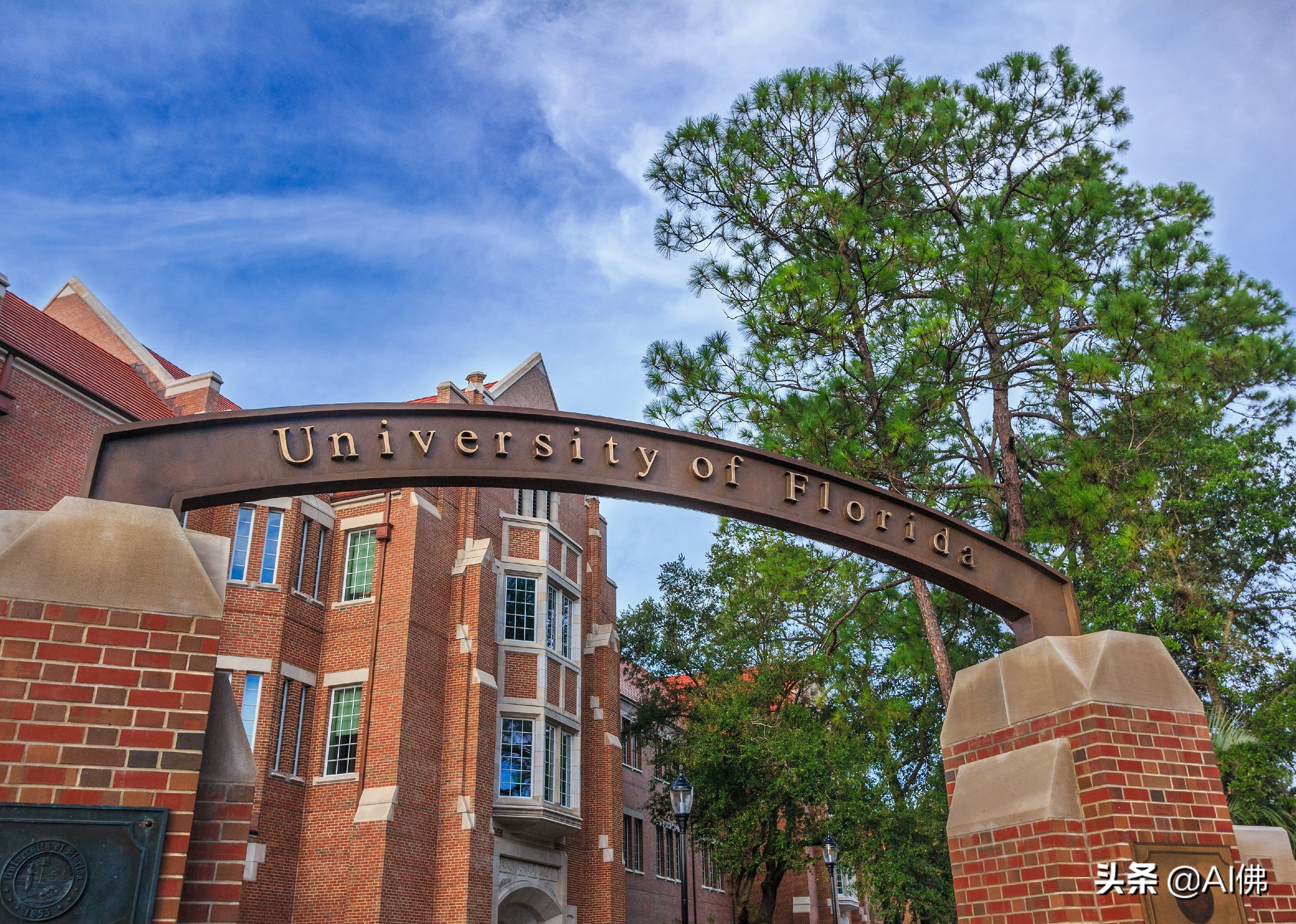 美国东部公立大学排行榜,美国各州最好的公立大学