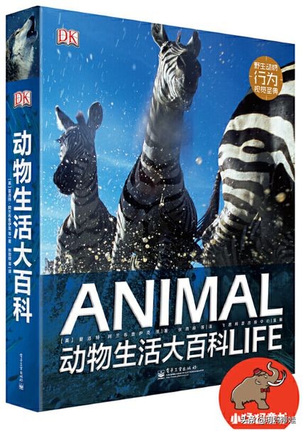 dk科普书怎么样,dk值得入手的书籍