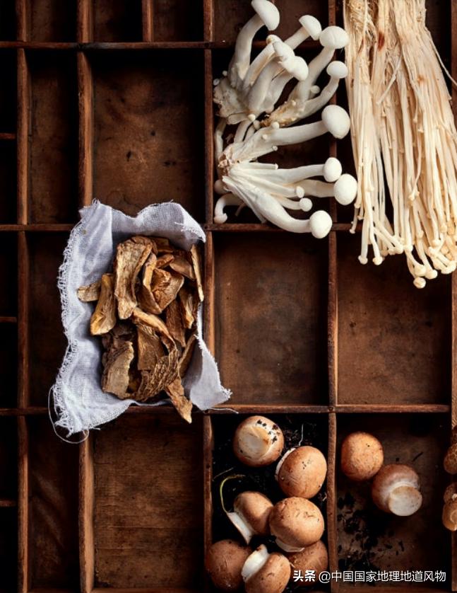 小蘑菇成为富民增收大产业,小蘑菇大产业小菌种大用途