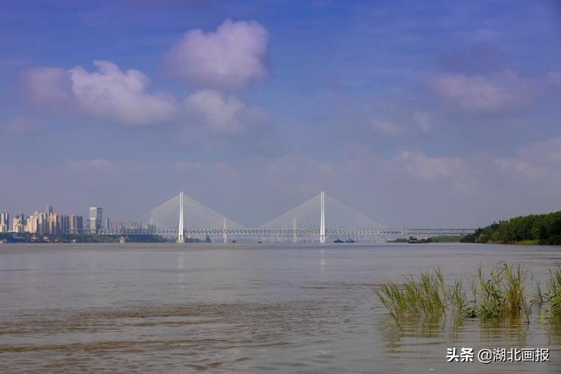 生态天兴洲，美在水云间