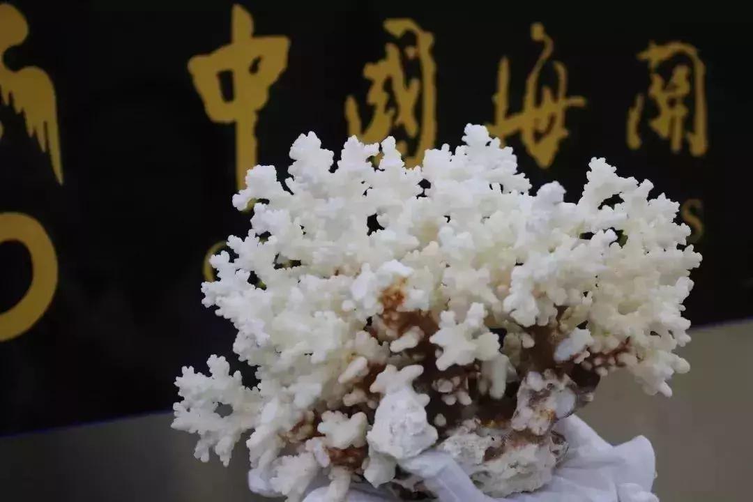 去香港澳门哪些东西不能带,香港澳门出境不能多带的东西