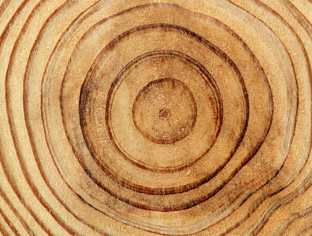 金丝楠木贵但为啥没人种,金丝楠木里面的金丝真的是金吗