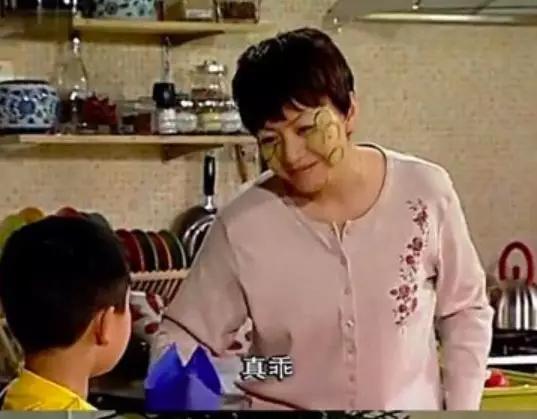 家有儿女刘星家到底是多有钱,家有儿女刘星家究竟多有钱