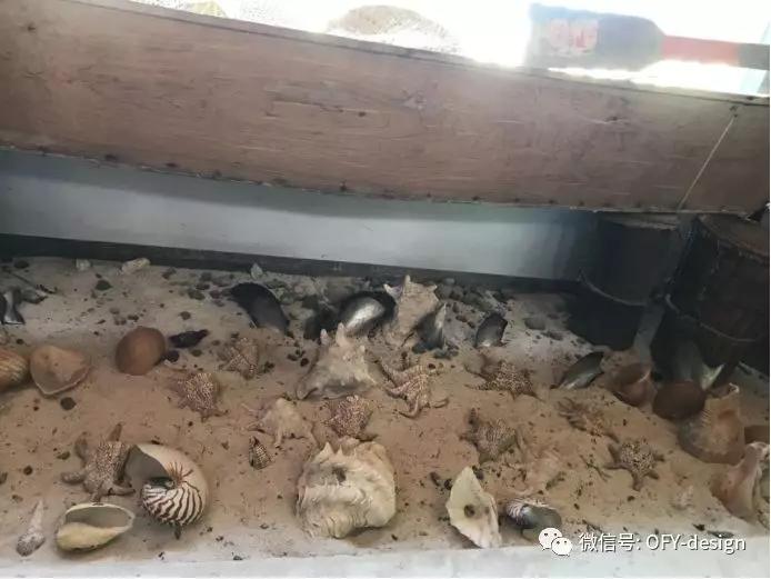 云在海在岁月在-欧菲·艺烁团队长滩岛自由行