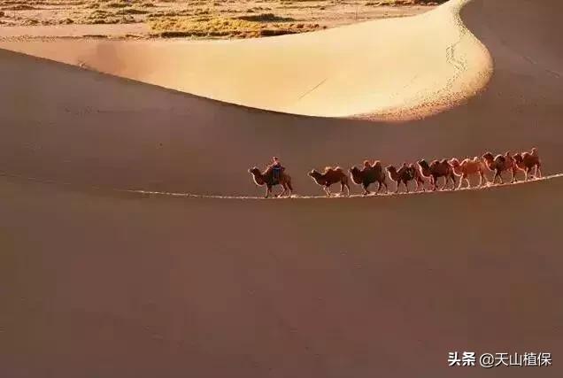 新疆鄯善的景色,新疆既美丽又神秘的地方